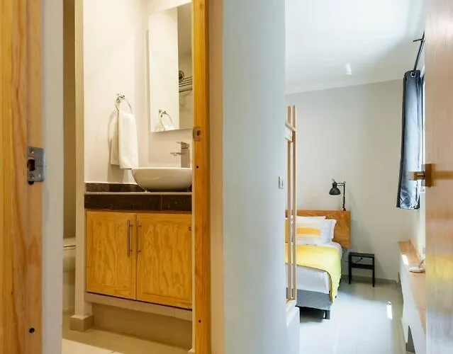 Condesa Spacious 3br With 3 King Beds Expert Host Apartment Mexico City